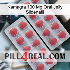 Kamagra 100 Mg Oral Jelly Sildenafil 19